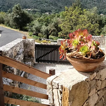 Casa Da Pedra - Porto De Mos, Leiria 3* Алвадуш